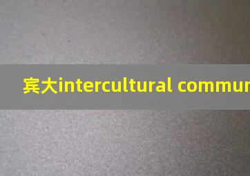 宾大intercultural communication